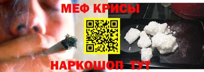 СК Новодвинск