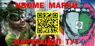 СК Новодвинск