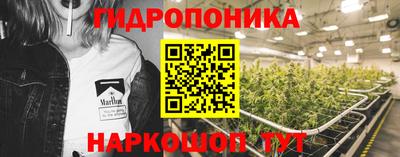 прущие грибы Новокубанск