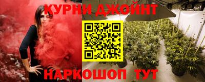 СК Новодвинск