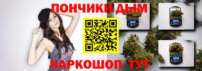 СК Новодвинск