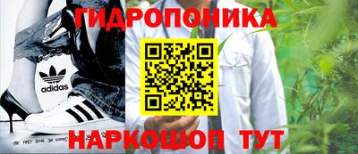 прущий лед Новозыбков