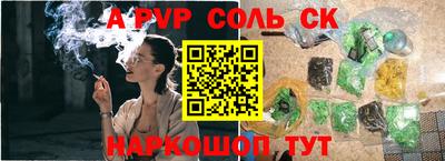 СК Новодвинск