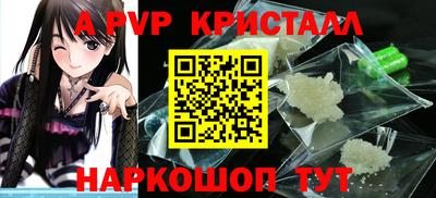 СК Новодвинск